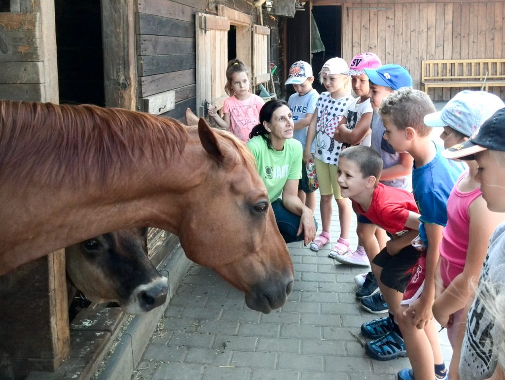 Na farmě-16