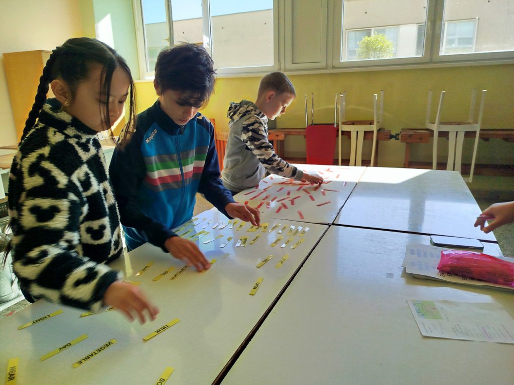 ECO Games-5