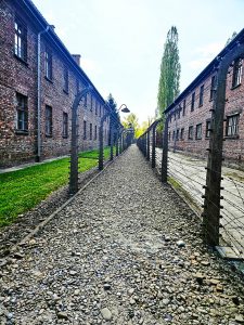 Osvětim 2026-9