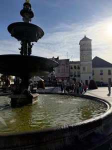 IMG_7185