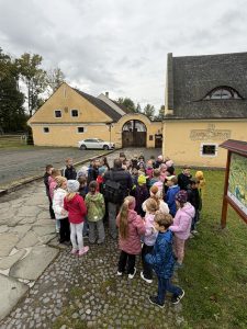 IMG_8238