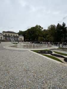 IMG_8296