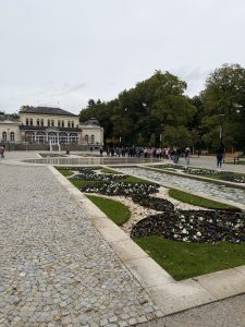 IMG_8299